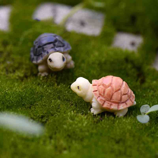 Mini Turtle Miniature