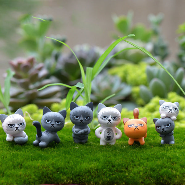 Angry Cats Miniature