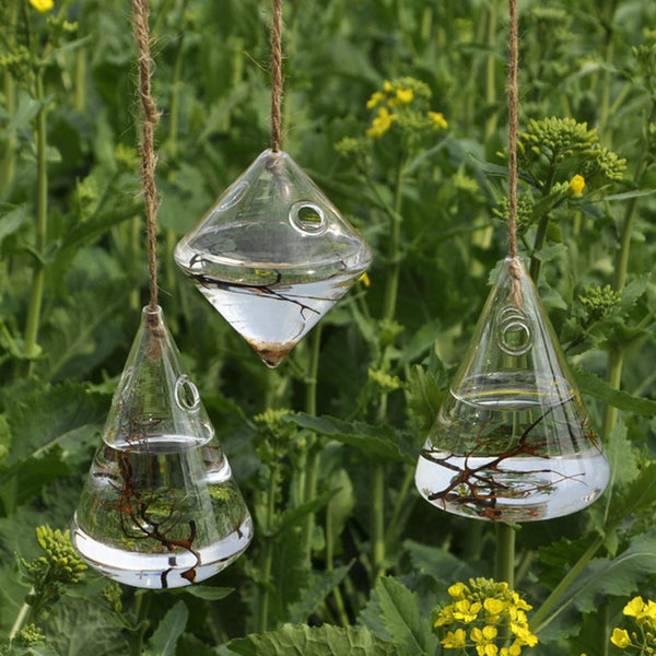 Hanging Clear Rhombus Triangle  Vase