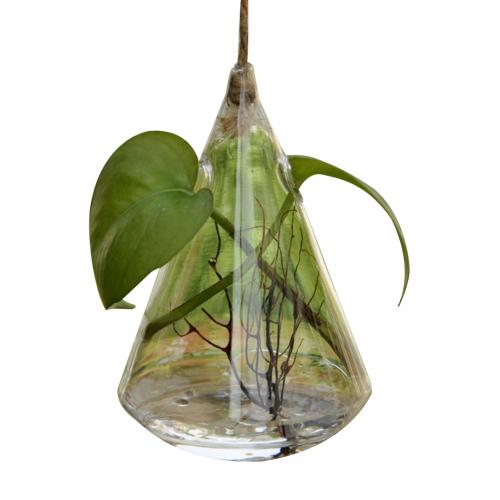 Hanging Clear Rhombus Triangle  Vase