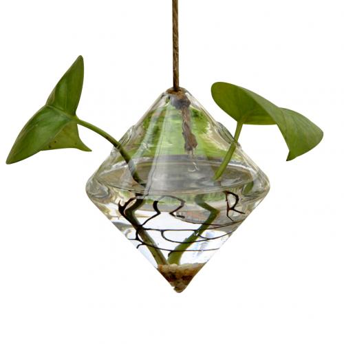 Hanging Clear Rhombus Triangle  Vase